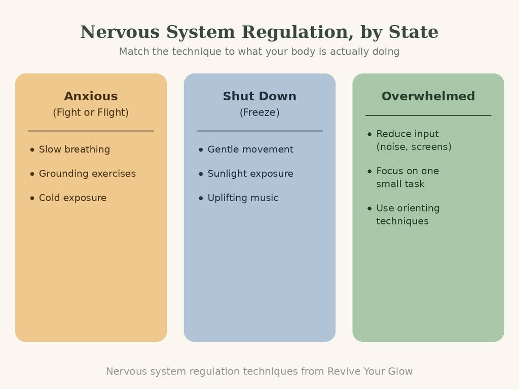 Infographic showing nervous system regulation techniques matched to three states — anxious, shut down, and overwhelmed with specific strategies like slow breathing, gentle movement, reducing input, and orienting.