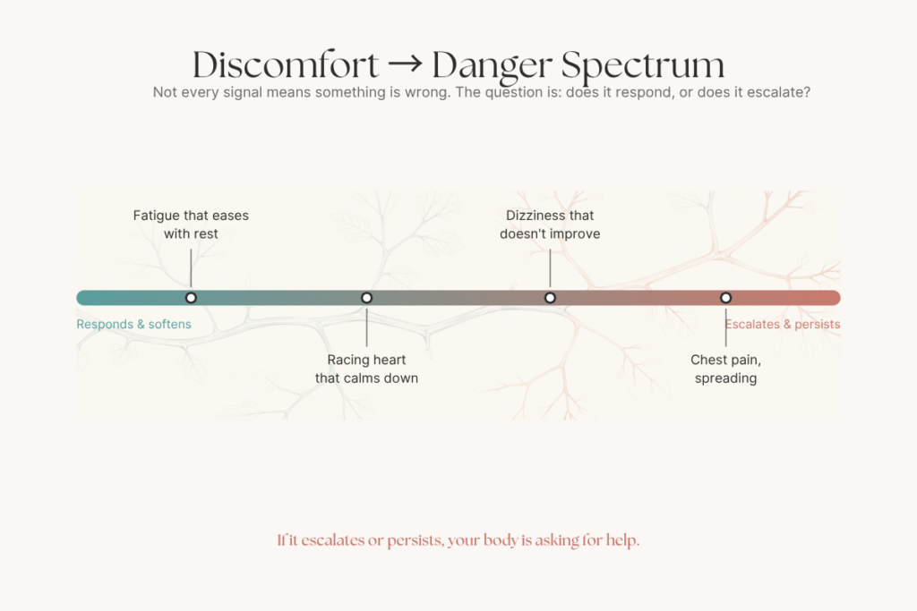 Discomfort and danger in your body illustrated through a spectrum graphic showing how somatic signals respond or escalate.