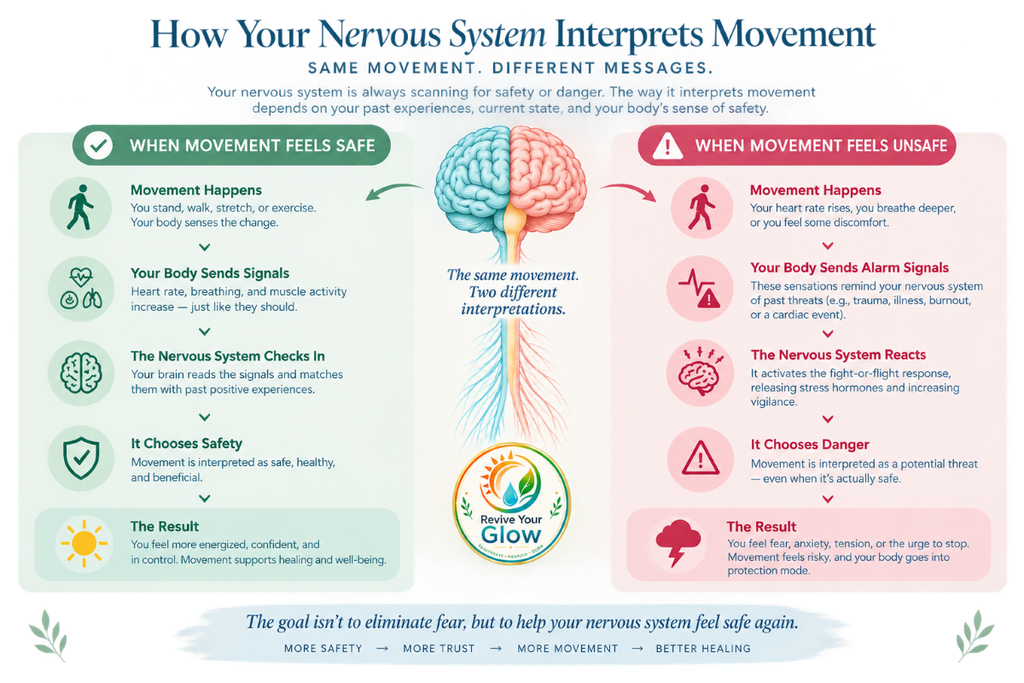 Infographic comparing how the nervous system interprets movement as safe versus unsafe, showing the fear-of-movement (kinesiophobia) response pathway