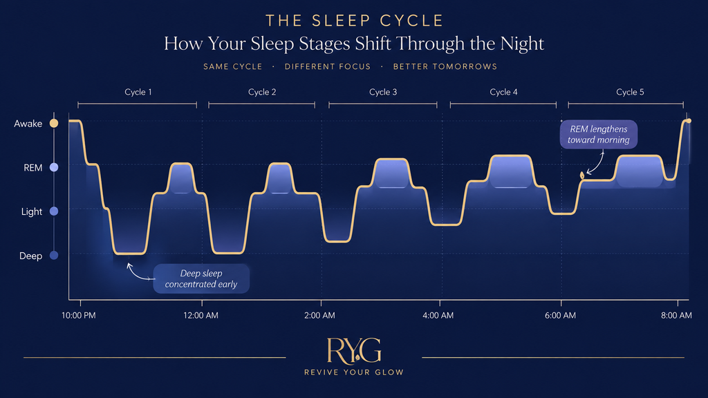 Chart of sleep architecture across a night, showing deep sleep concentrated in the first half and REM sleep lengthening toward morning.