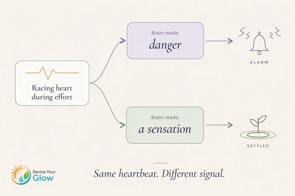 Diagram showing a normal rise in heart rate read as danger by an alarmed nervous system, versus read as a neutral sensation after retraining.