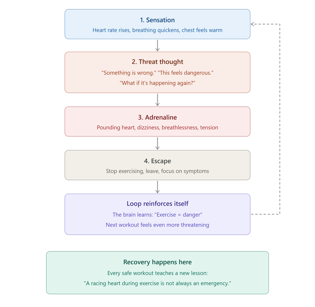 Diagram showing the four-step panic loop during exercise: sensation, threat thought, adrenaline, and escape.